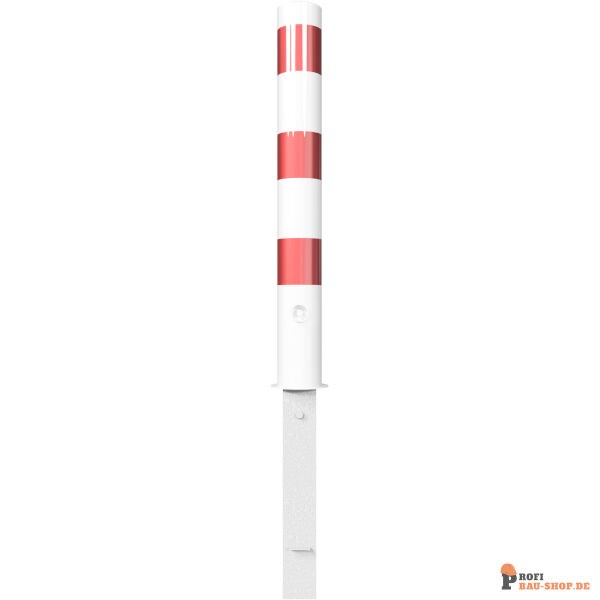 schake/Schake_493FB_3D2