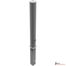 schake/Schake_493F_3D1