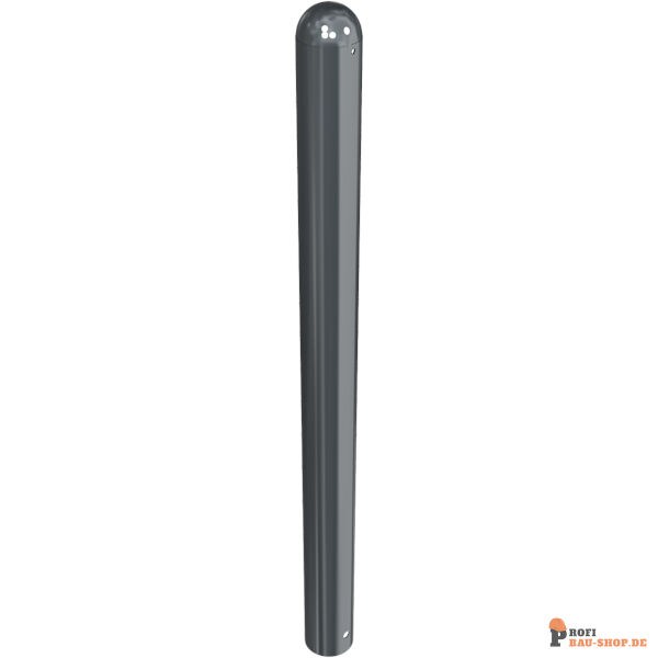 schake/Schake_494B_3D1