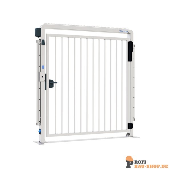 schake/Schake_4VDE18_2