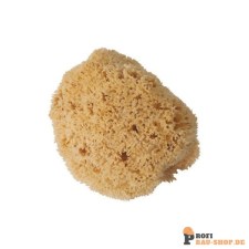 storch/STORCH_199218_1