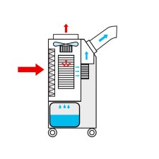 Keine Abbildung zugeordnet 