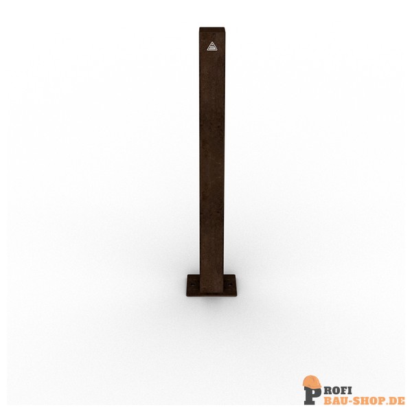 schake/Schake_4481P_1