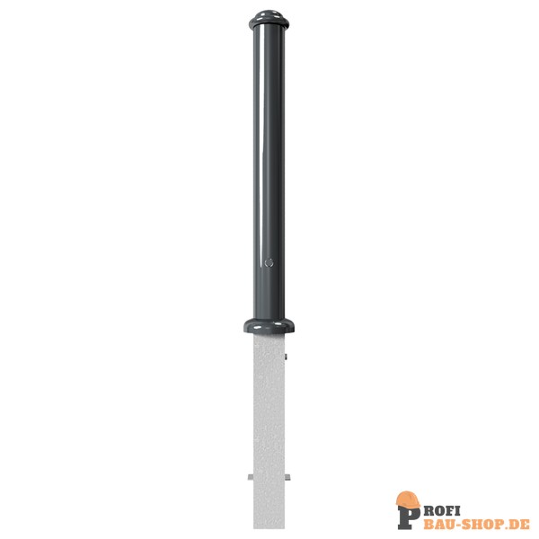 schake/Schake_481FB+2_1