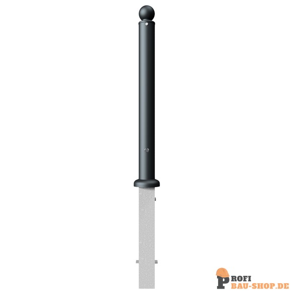 schake/Schake_484FB+1_1