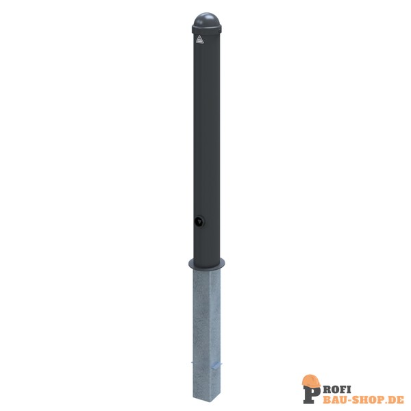 schake/Schake_496FB_2