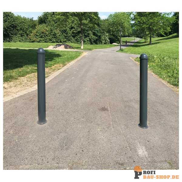 schake/Schake_496ZB_2